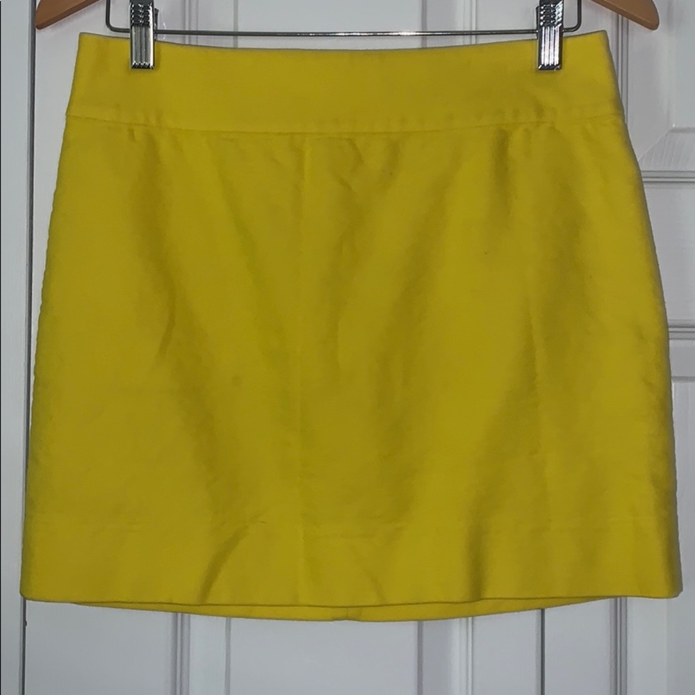 J. Crew Skirt